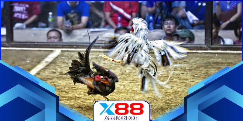 Bảng kèo biến động liên tục mỗi phút