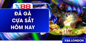 Đá Gà Cựa Sắt Hôm Nay Sôi Động Đỉnh Cao Cùng X88