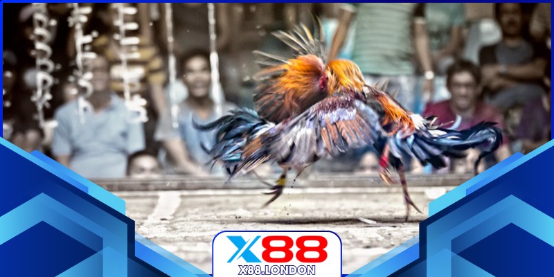 Kê tung đòn quyết định trong trận